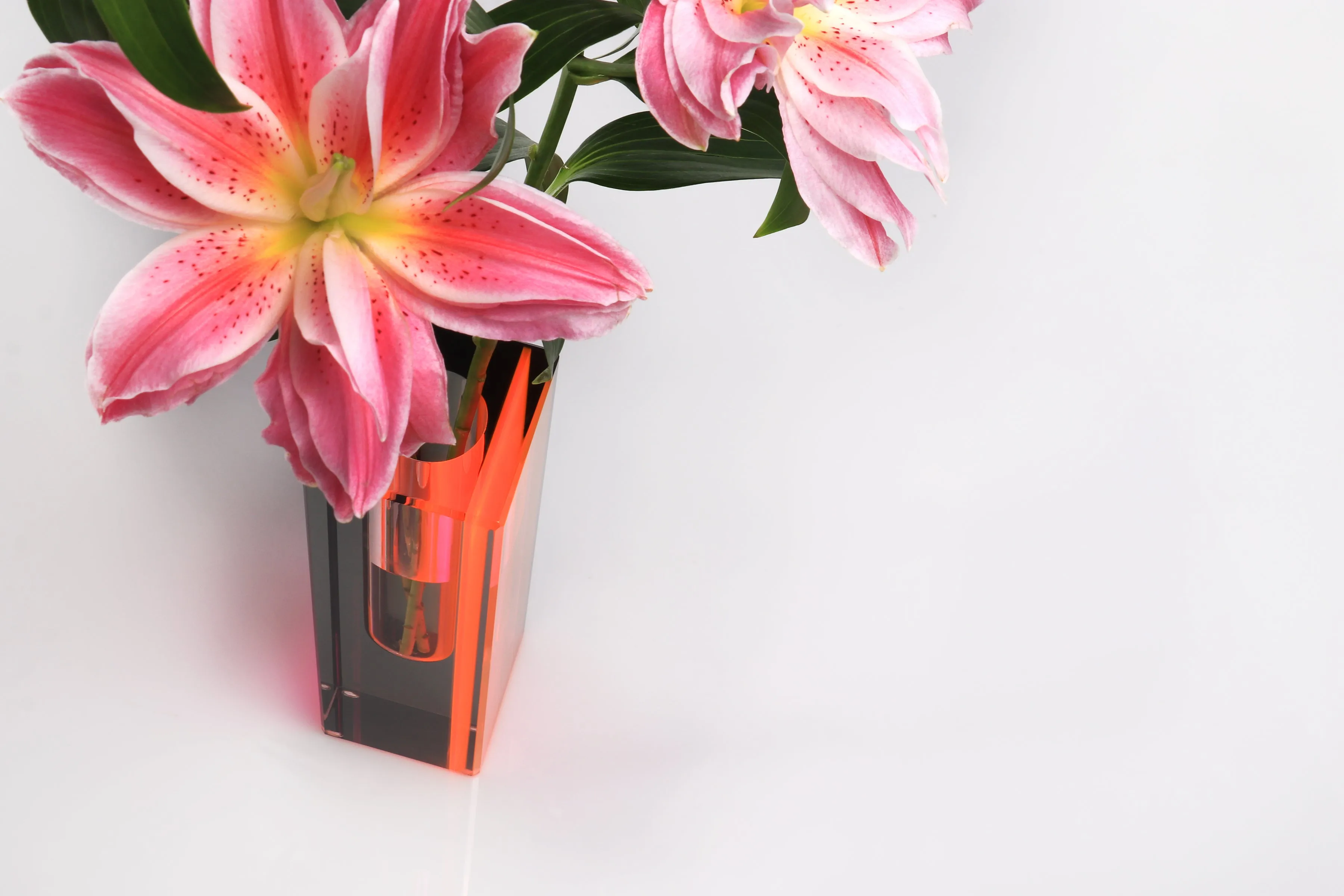 Eclipse Vase in Pink