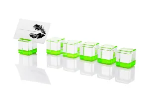 Rock Blocks Placecard Holder Set in Green